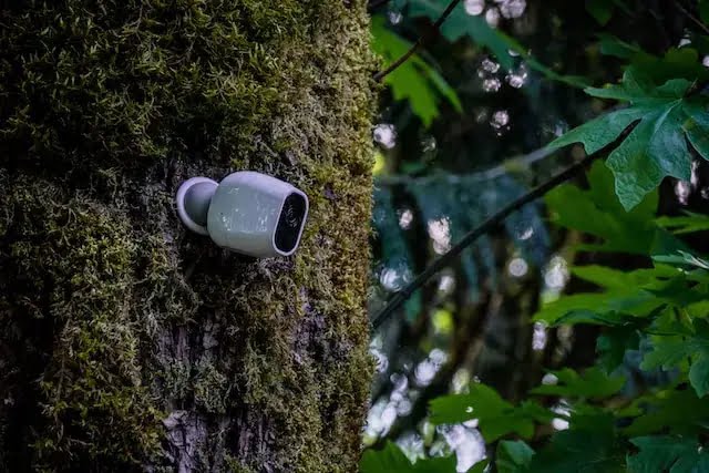 Best Alexa Compatible Outdoor Camera